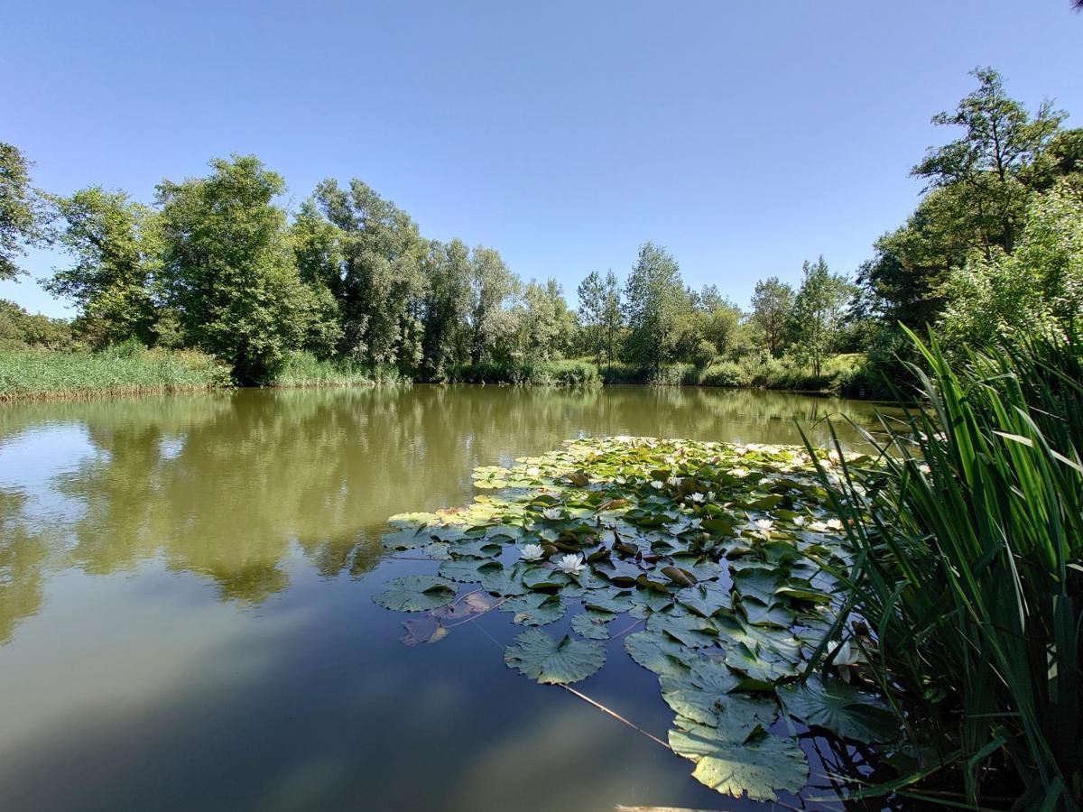 White Acre'S Holiday Park, 602 Sycamore Forest Saint Enoder Ngoại thất bức ảnh